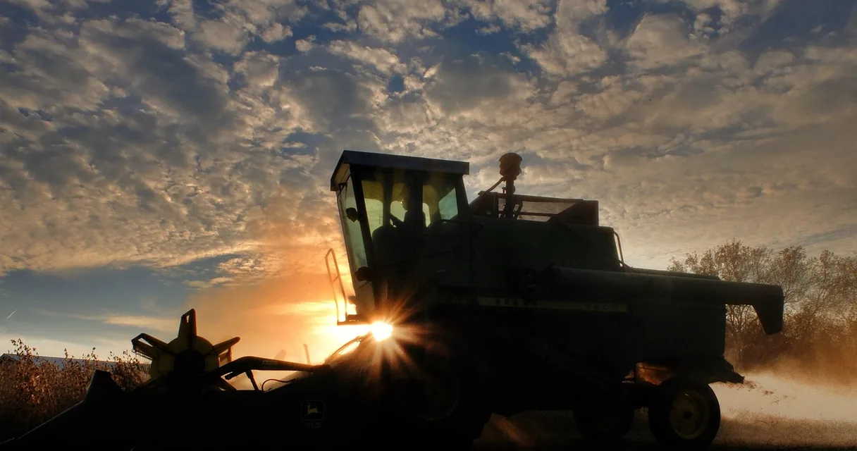 Colheitadeira trabalhando em lavoura ao entardecer