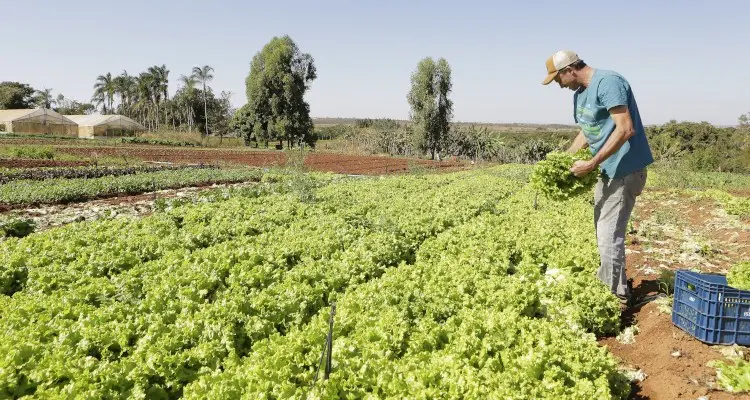 IPP tem alta de 2,37% em março, afirma IBGE